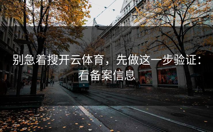 别急着搜开云体育，先做这一步验证：看备案信息