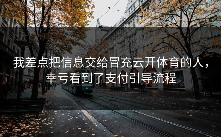 我差点把信息交给冒充云开体育的人，幸亏看到了支付引导流程