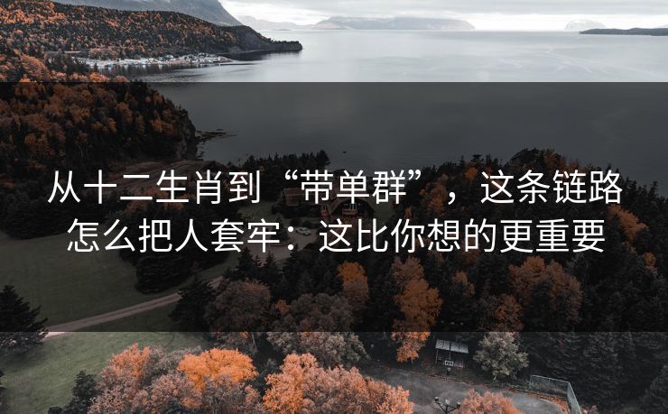 从十二生肖到“带单群”，这条链路怎么把人套牢：这比你想的更重要