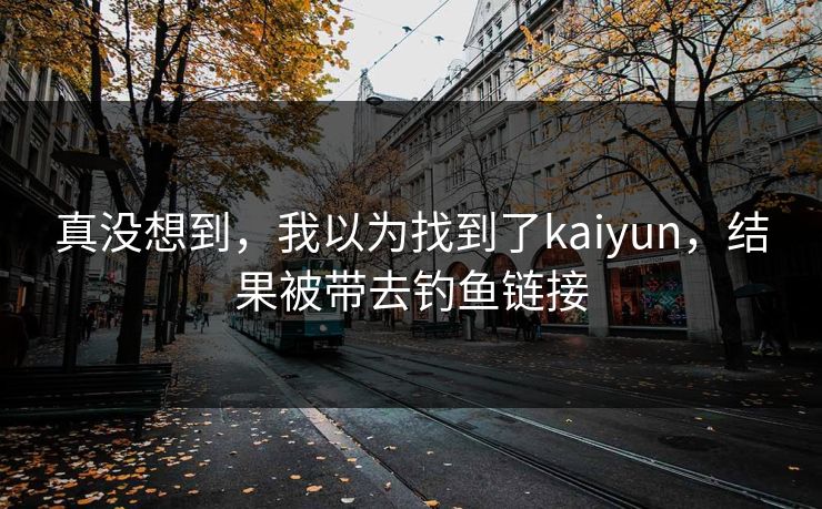 真没想到，我以为找到了kaiyun，结果被带去钓鱼链接