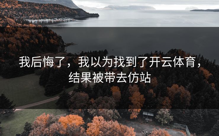 我后悔了，我以为找到了开云体育，结果被带去仿站